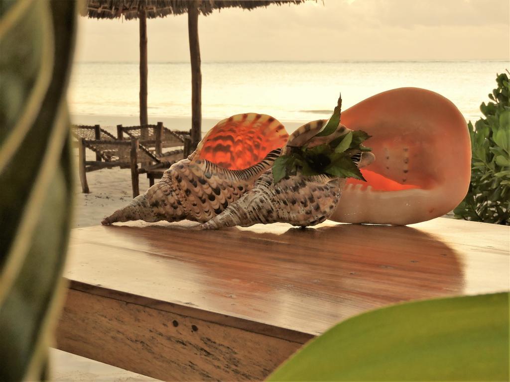 Mchanga Zanzibar Hotel ปวานี มาชังกานี ภายนอก รูปภาพ